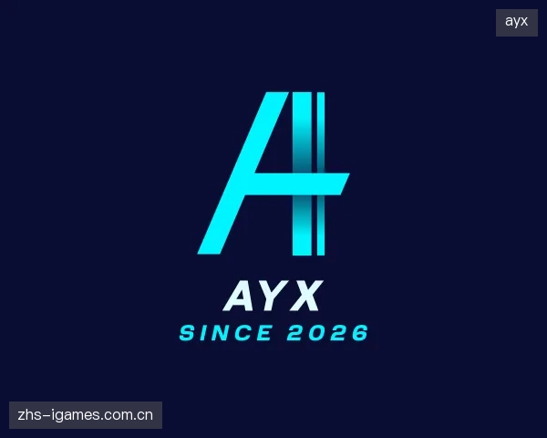 发现ayx团队
